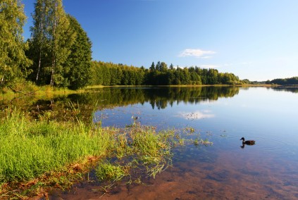 Soodla Lake Estonia